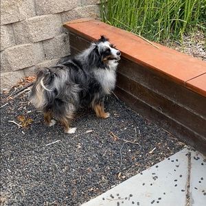 Meet your Posher, Angie